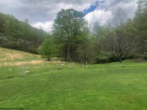 722 Cherry Fork Rd, Crawford, WV 26343 photo 3
