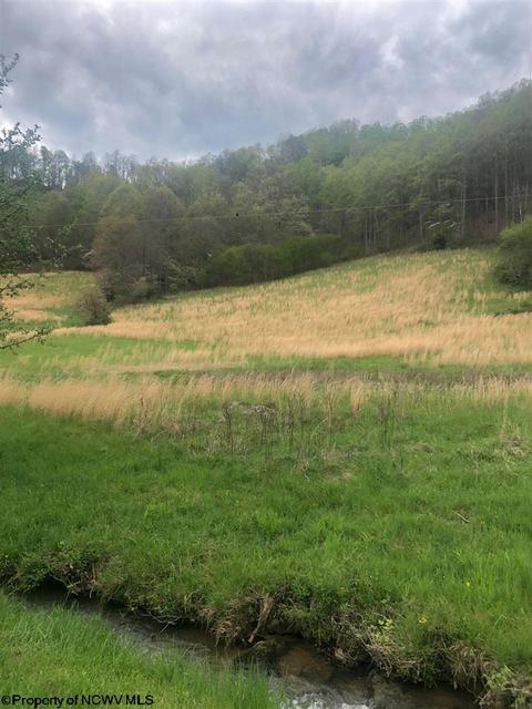 722 Cherry Fork Rd, Crawford, WV 26343 photo 20