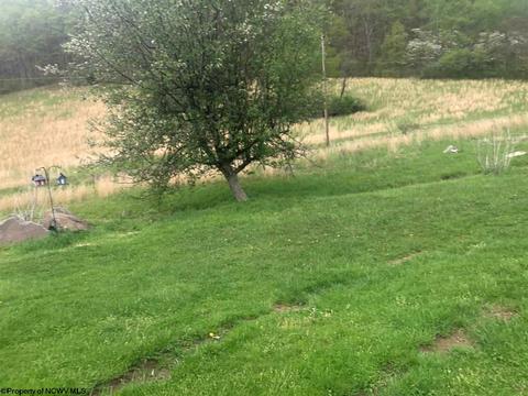 722 Cherry Fork Rd, Crawford, WV 26343 photo 22