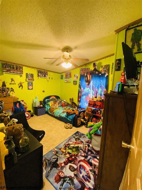 101 Randolph St, Salem, WV 26426 photo 8