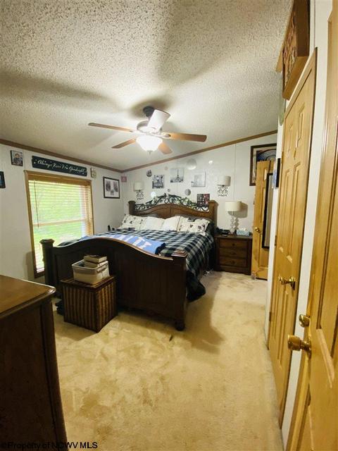 101 Randolph St, Salem, WV 26426 photo 5