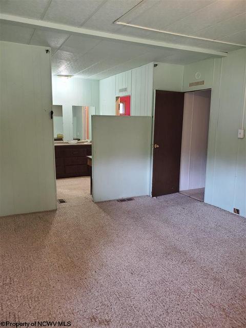 1004 Dickson St, Mannington, WV 26582 photo 10