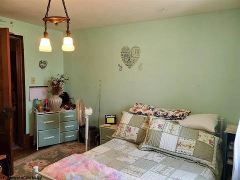 405 Meadow Ave, Mannington, WV 26582 photo 16