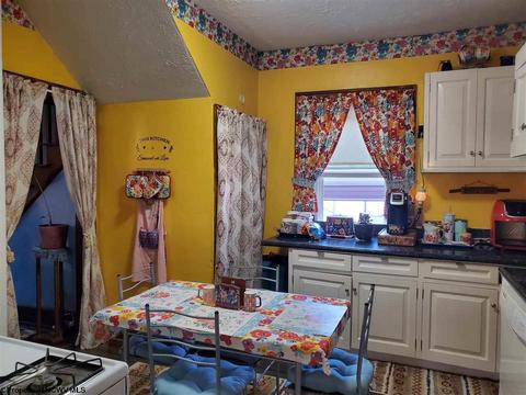 405 Meadow Ave, Mannington, WV 26582 photo 10