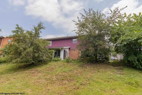 21 Millbrook Rd, Bridgeport, WV 26330 photo 16