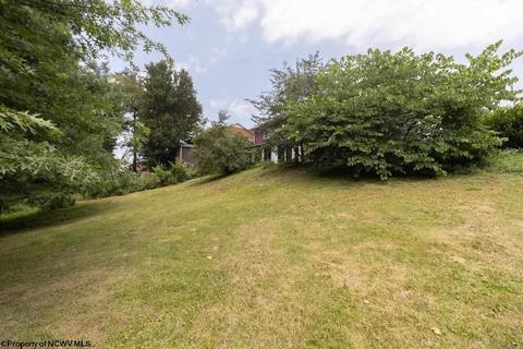 21 Millbrook Rd, Bridgeport, WV 26330 photo 18