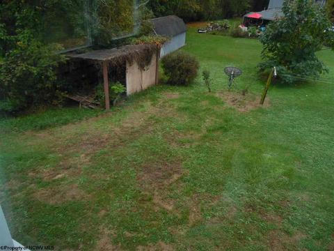 104 Curtin Ave, Sutton, WV 26601 photo 22