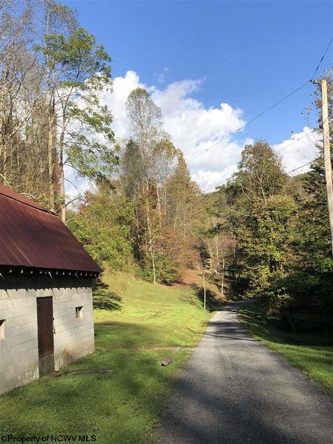 324 Knights Ln, Sutton, WV 26601 photo 14