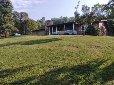 324 Knights Ln, Sutton, WV 26601 photo 4