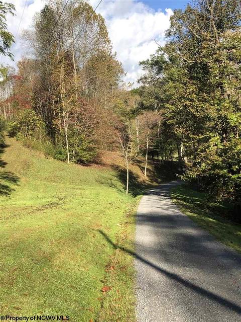 324 Knights Ln, Sutton, WV 26601 photo 15