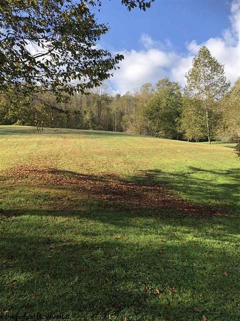 324 Knights Ln, Sutton, WV 26601 photo 16