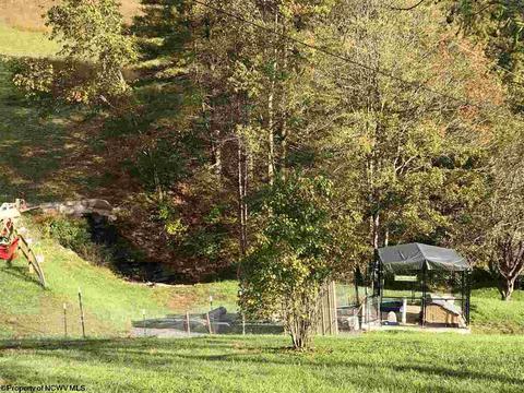 324 Knights Ln, Sutton, WV 26601 photo 25