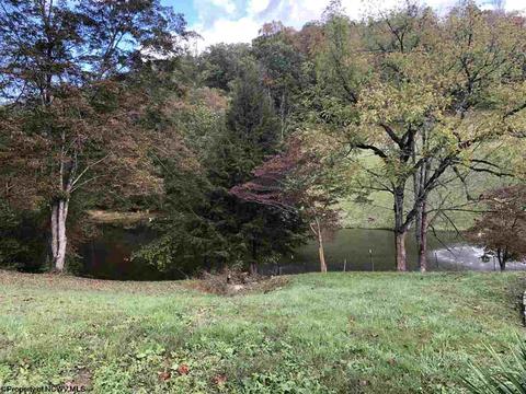324 Knights Ln, Sutton, WV 26601 photo 27