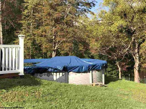 324 Knights Ln, Sutton, WV 26601 photo 23