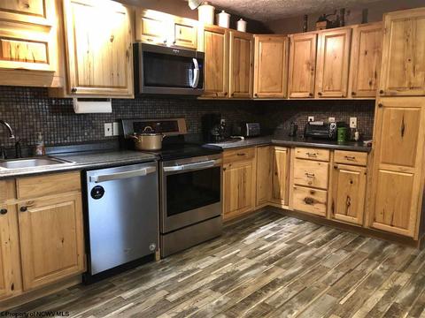 324 Knights Ln, Sutton, WV 26601 photo 6