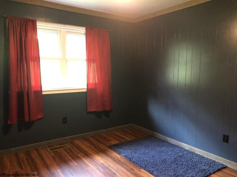 324 Knights Ln, Sutton, WV 26601 photo 12