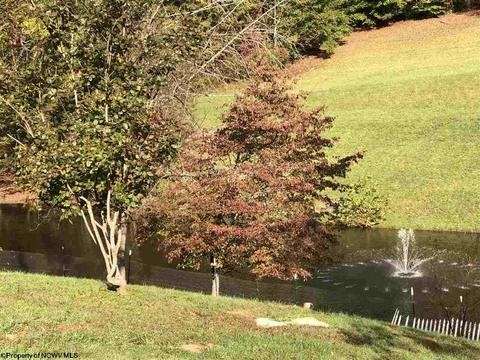 324 Knights Ln, Sutton, WV 26601 photo 19