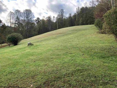 324 Knights Ln, Sutton, WV 26601 photo 28