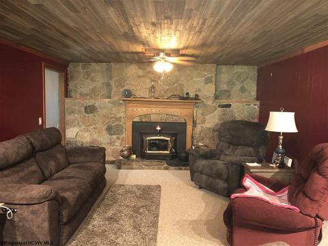 324 Knights Ln, Sutton, WV 26601 photo 8