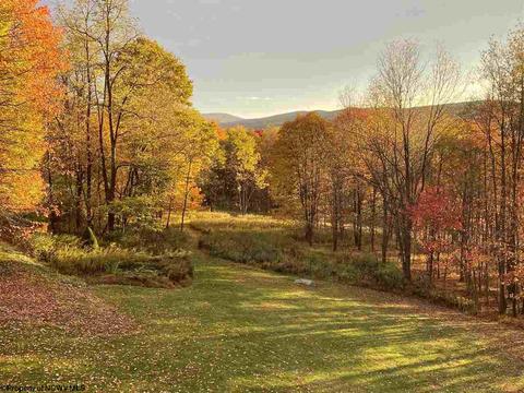135 Eagle Ln, Terra Alta, WV 26764 photo 29