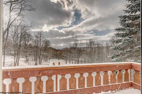 135 Eagle Ln, Terra Alta, WV 26764 photo 15