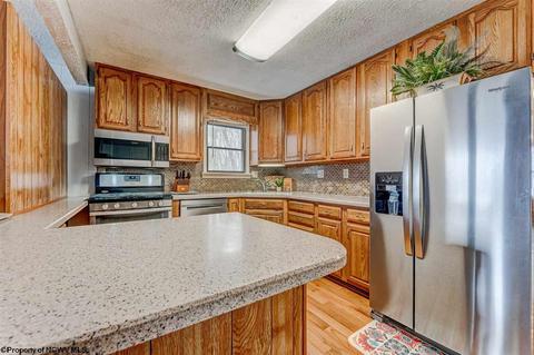 135 Eagle Ln, Terra Alta, WV 26764 photo 10