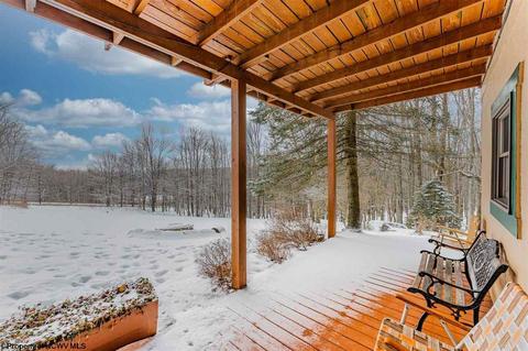 135 Eagle Ln, Terra Alta, WV 26764 photo 24