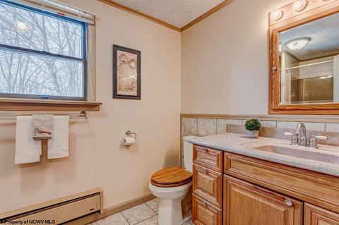 135 Eagle Ln, Terra Alta, WV 26764 photo 18