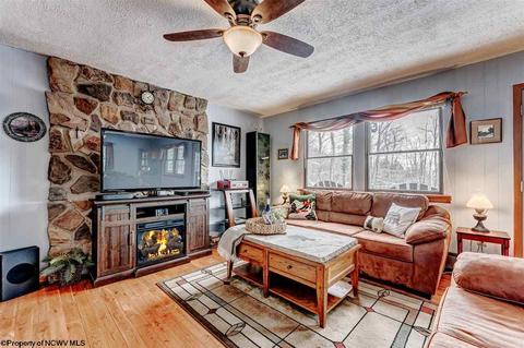 135 Eagle Ln, Terra Alta, WV 26764 photo 6