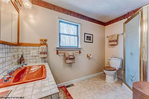 135 Eagle Ln, Terra Alta, WV 26764 photo 12