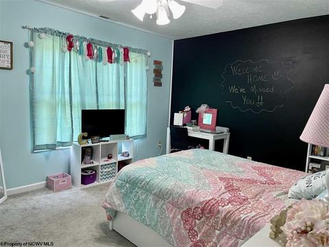 48 Skyview Dr, Mount Clare, WV 26408 photo 12