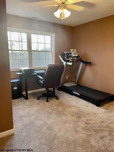 48 Skyview Dr, Mount Clare, WV 26408 photo 8
