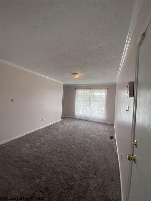 118 Eagle Ln, Mount Clare, WV 26408 photo 5