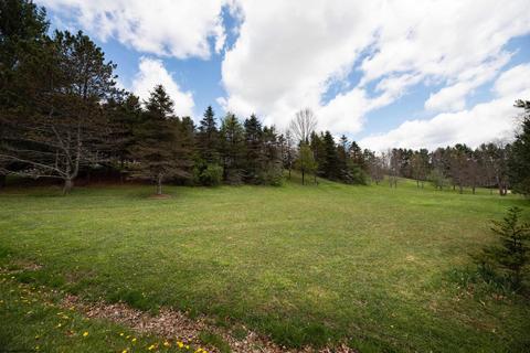 537 Pineview Dr, Elkins, WV 26241 photo 6