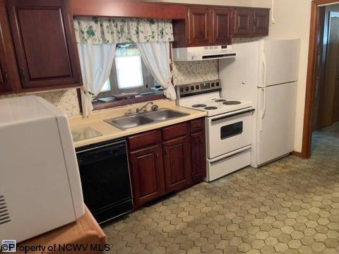 105 Ferndale Dr, Elkins, WV 26241 photo 10