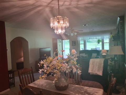 744 Flat Run Rd, Mannington, WV 26582 photo 14
