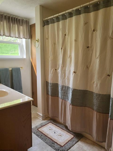 744 Flat Run Rd, Mannington, WV 26582 photo 21