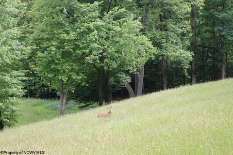 343 Jacklyn Rd, Beverly, WV 26253 photo 25