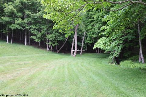 343 Jacklyn Rd, Beverly, WV 26253 photo 9