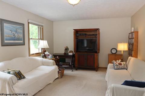 343 Jacklyn Rd, Beverly, WV 26253 photo 11