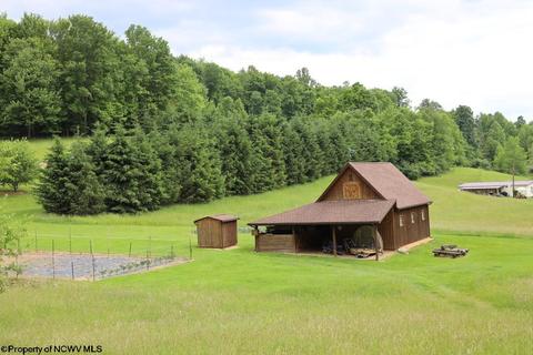 343 Jacklyn Rd, Beverly, WV 26253 photo 24