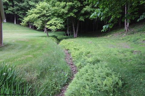 343 Jacklyn Rd, Beverly, WV 26253 photo 10