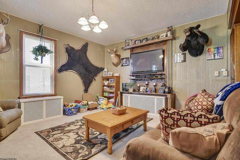 348 Brown St, Thomas, WV 26292 photo 6