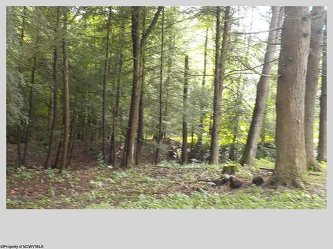 78 Evans Rd, Eglon, WV 26716 photo 15