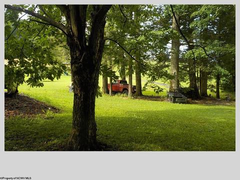 78 Evans Rd, Eglon, WV 26716 photo 14
