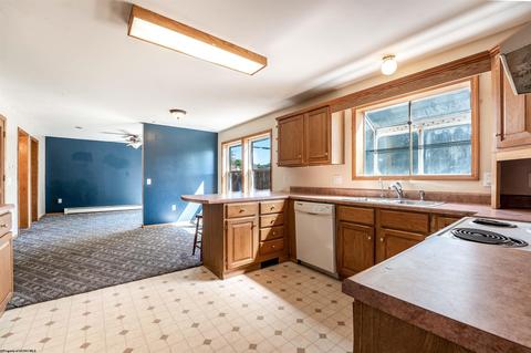 46 N Main St, Bruceton Mills, WV 26525 photo 4