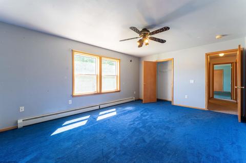 46 N Main St, Bruceton Mills, WV 26525 photo 14