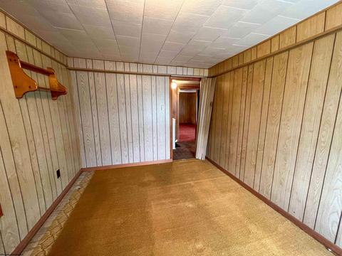 249 Seventh St, Davis, WV 26260 photo 24