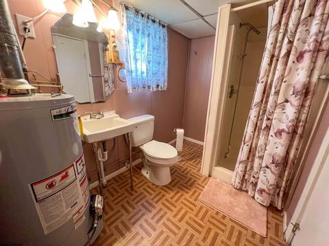 249 Seventh St, Davis, WV 26260 photo 14