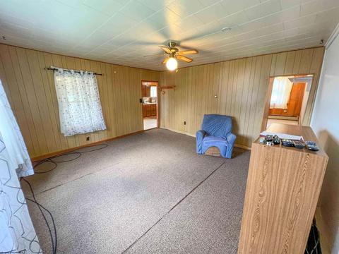 249 Seventh St, Davis, WV 26260 photo 11